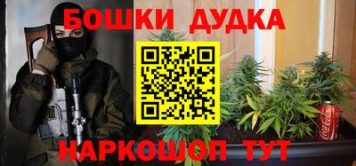 альфа пвп Новодвинск