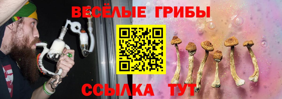 Галлюциногенные грибы мухоморы  Вход с VPN  Сухой Лог 